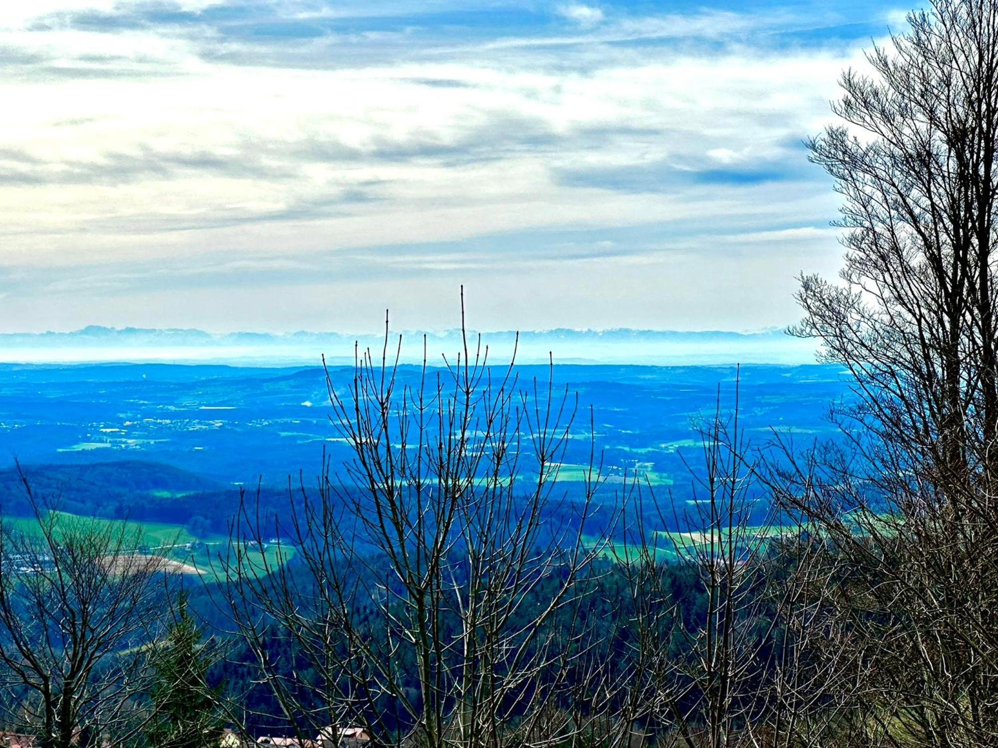 Gemuetliches Alpenblick Berg-Bungalow + Grosser Garten + Netflix! Schöfweg 외부 사진