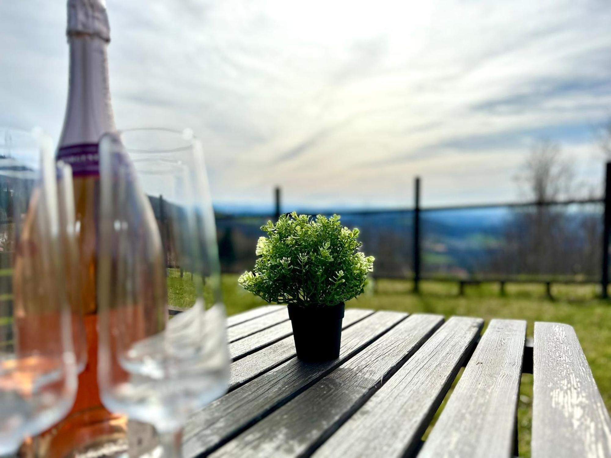 Gemuetliches Alpenblick Berg-Bungalow + Grosser Garten + Netflix! Schöfweg 외부 사진