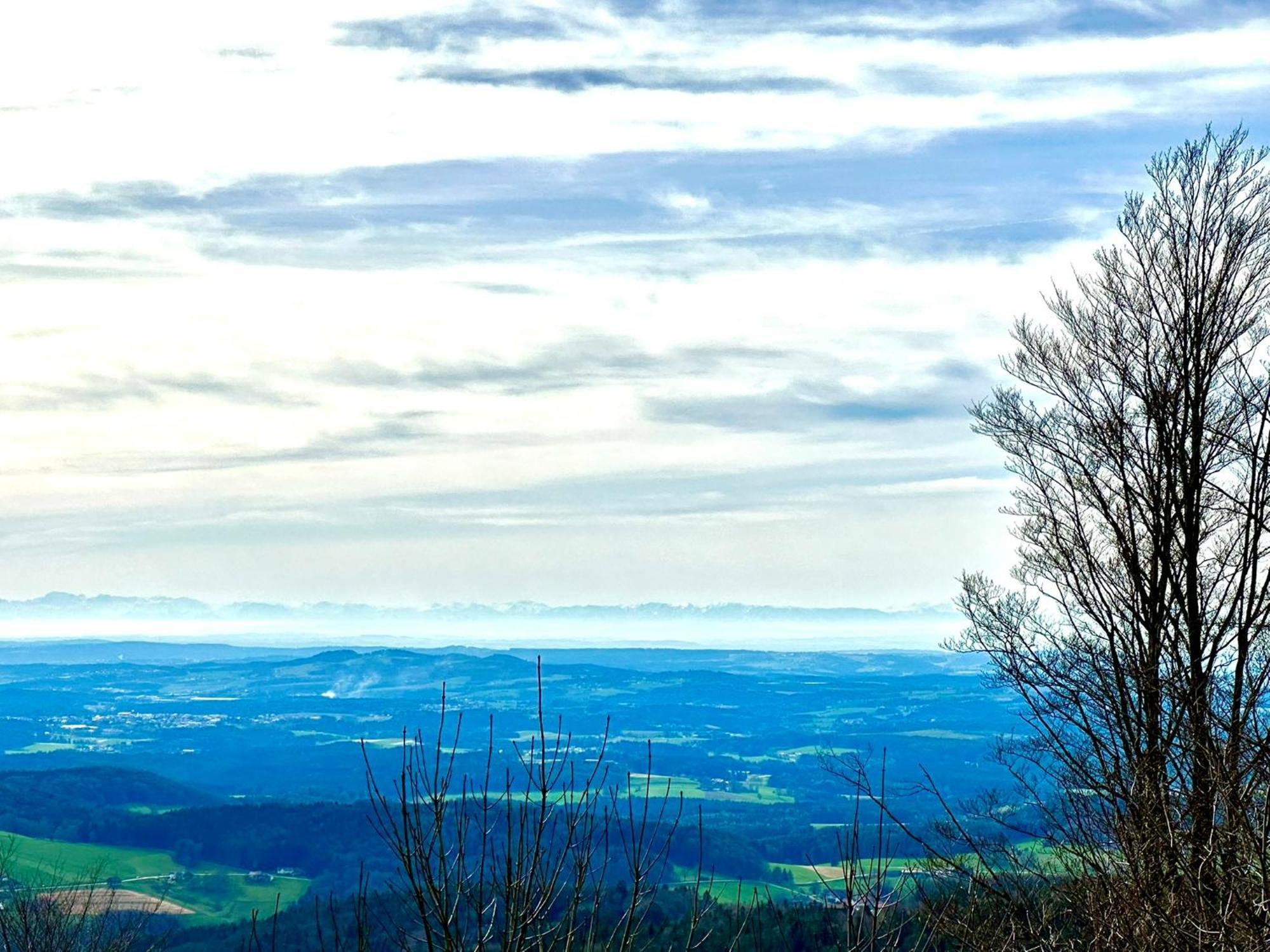 Gemuetliches Alpenblick Berg-Bungalow + Grosser Garten + Netflix! Schöfweg 외부 사진